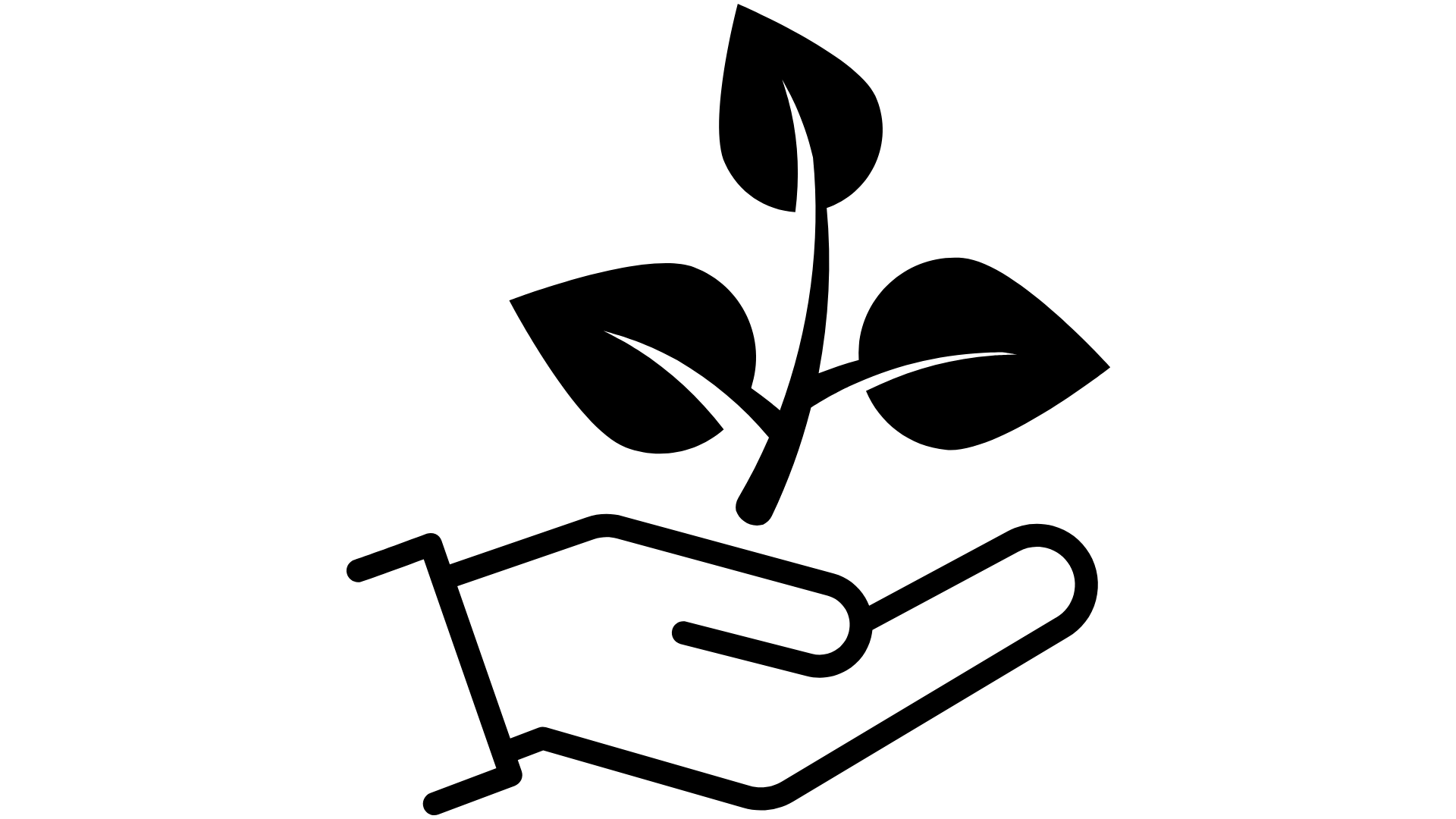 Ícone Princípio 4